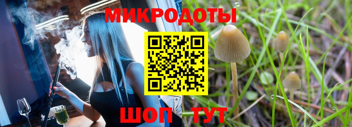 Апрелевка  Галлюциногенные грибы GOLDEN TEACHER  Вход с VPN 